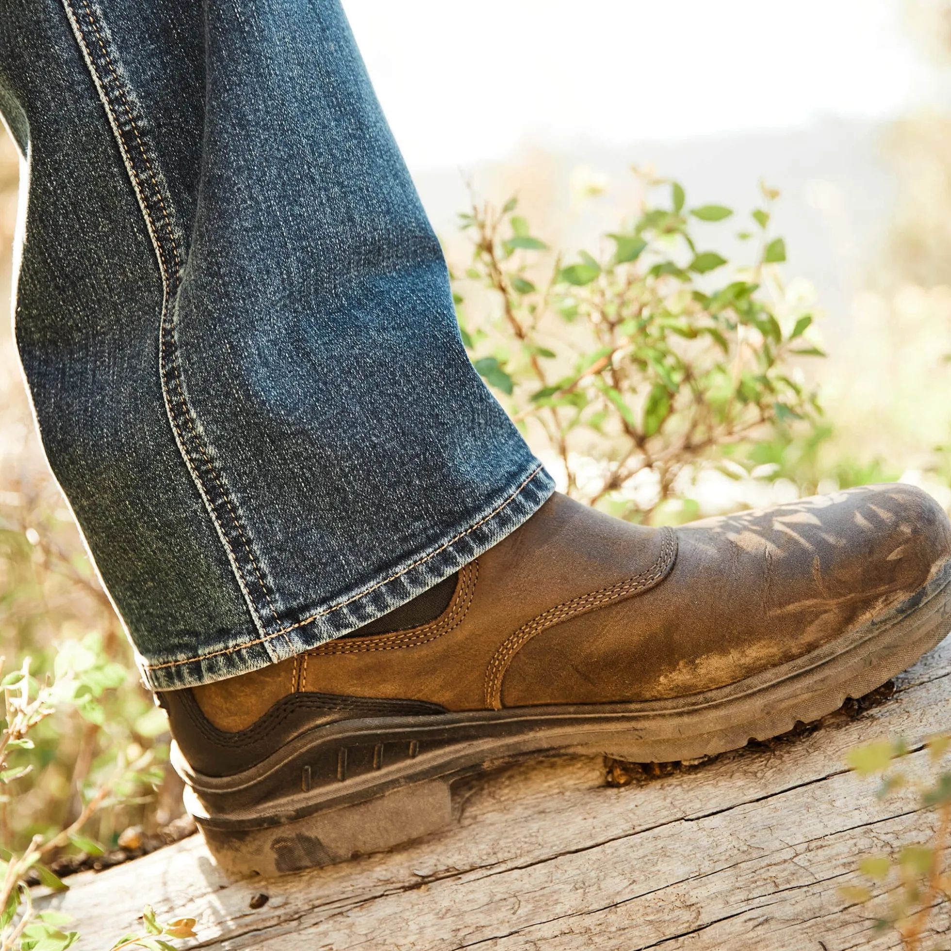 Barnyard Waterproof Chelsea Boot
