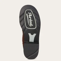 Probaby Western Boot