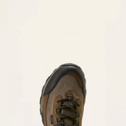 Traverse Low Waterproof Hiking Shoe